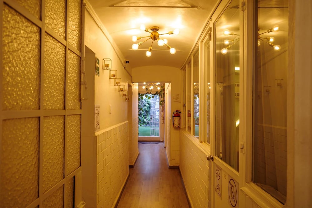 Presenta su nueva identidad visual y consolida su evolución como marca de bienestar. Foto: Cortesía Nymphaea