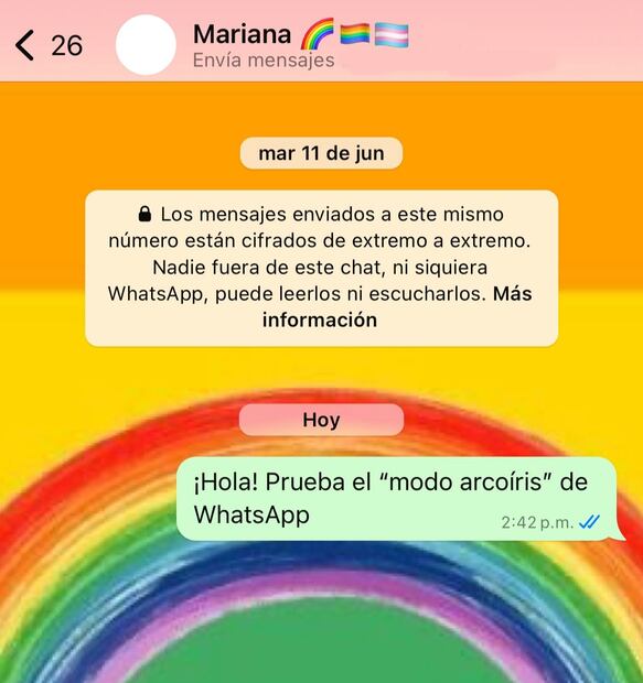 "Modo arcoíris" en WhatsApp. Foto: Captura de pantalla