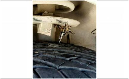 Suspenden clases en Reynosa tras bloqueos y enfrentamientos