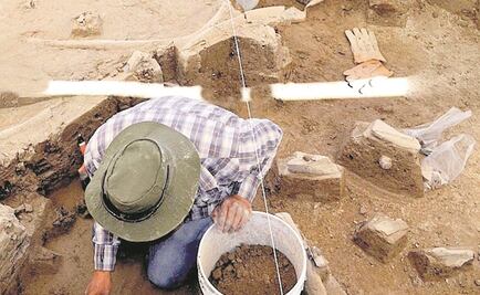 Hallan cementerio de mamuts en Tultepec