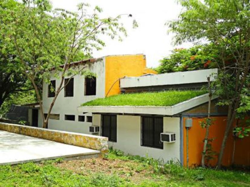 Casas con piel verde