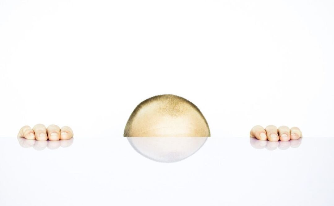 Arándanos contra la calvicie. Fuente: Pixabay