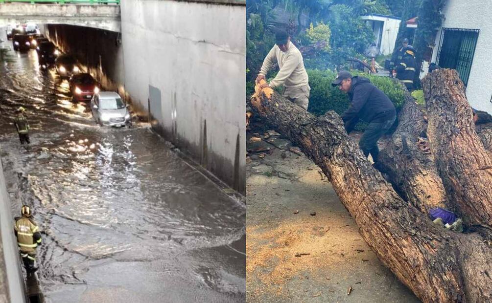 Lluvias causan afectaciones, inundaciones y caída de árboles en la CDMX. Foto: Especial