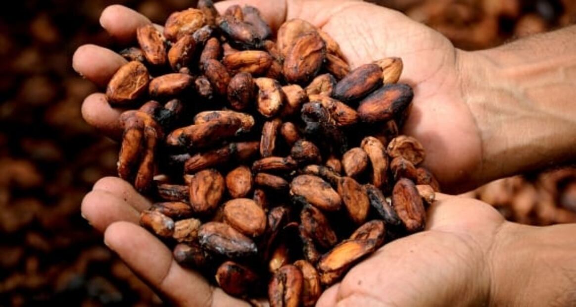 Visita la Feria Nacional de Cacao y Chocolate 2022