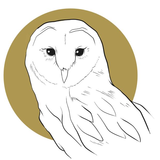 LECHUZA
Nombre científico: Tyto alba. 
Habita en bosques mixtos de pino-encino, praderas, campos agrícolas.
Especies: Ave de presa nocturna. 
Presente: Lerma, Nevado de Toluca y Zinacantepec.
Alimento: Ratones e insectos, tuzas, musarañas.
