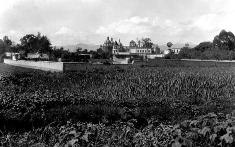 Las huertas carmelitas que había en San Ángel