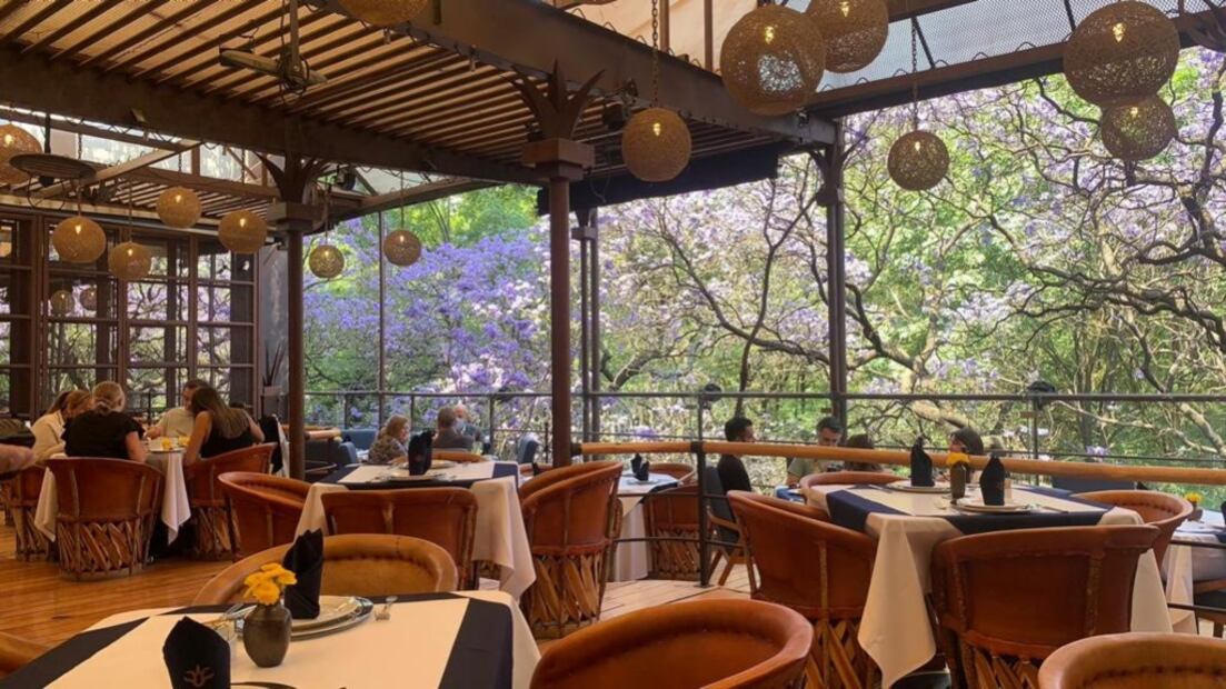 Foto: Hotel Parque México