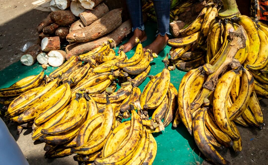 Plátano Macho
Foto: Eva Blue / Unsplash