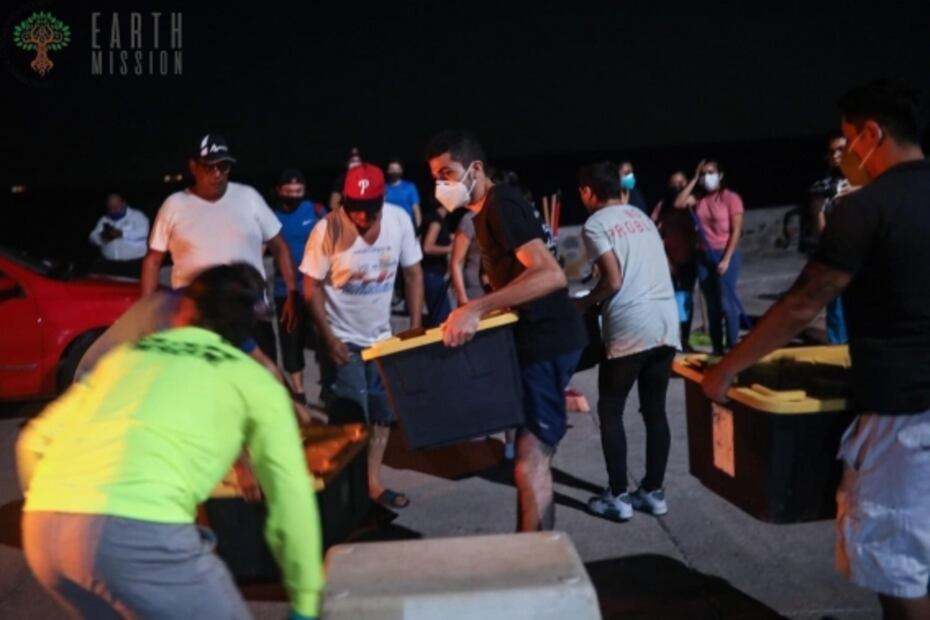 Misión: salvar al cangrejo azul en Veracruz