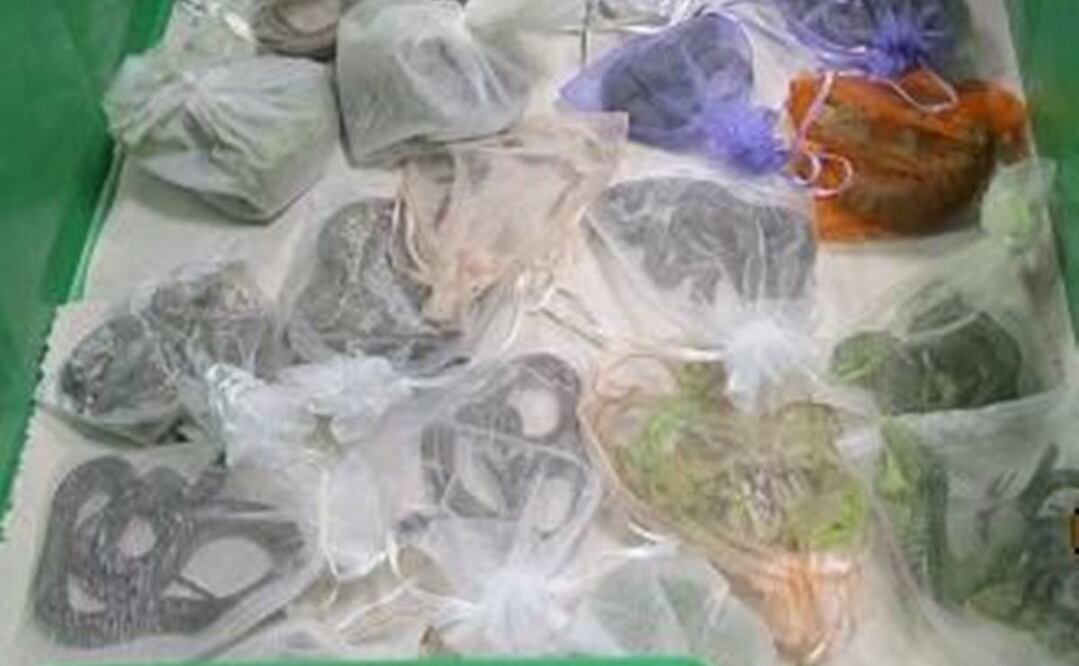 Fotos: Oficina de Aduanas y Protección de Fronteras (CBP)