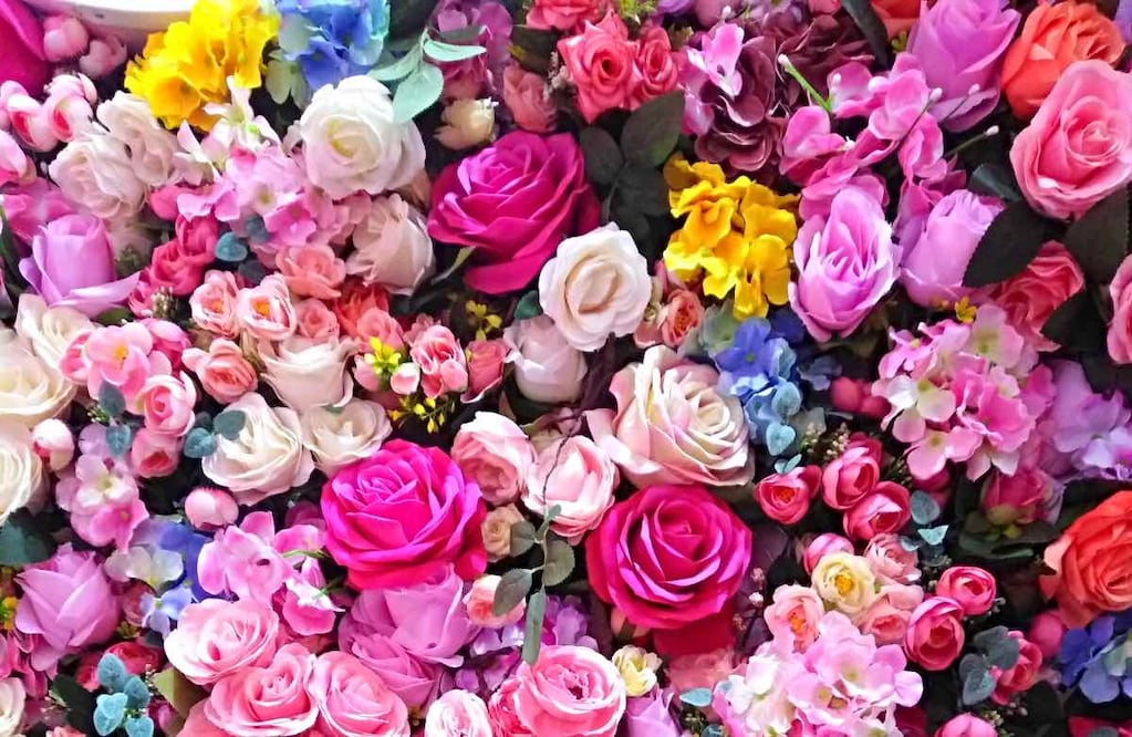 El evento contará con varias sedes en la Alcaldía Álvaro Obregón. Foto: Aida Batres. Unsplash