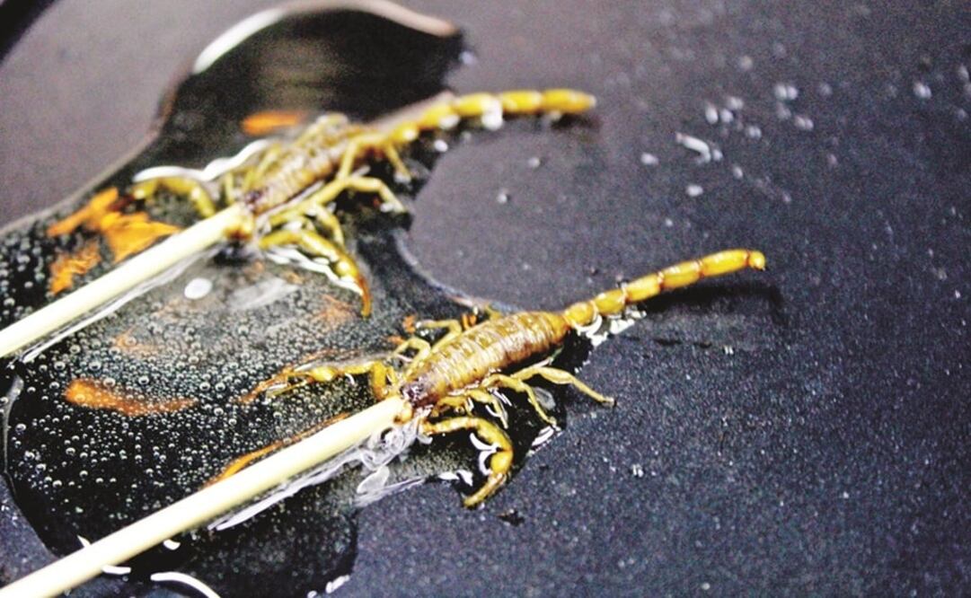 Los animales se pueden condimentar con especies, con sal, pimienta, chile y limón. (FOTO: FRANCISCO RODRÍGUEZ. EL UNIVERSAL)