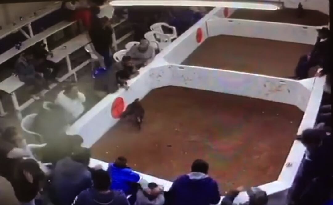 Foto: Tomada de video