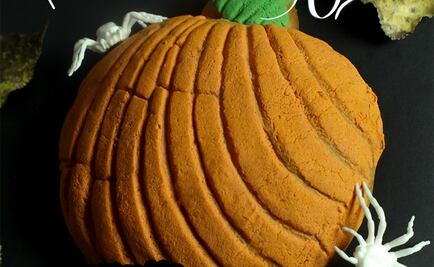 ¡Conoce las conchas en forma de calabaza!