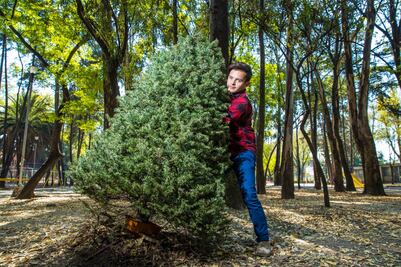 Lugares cerca de la CDMX para comprar árboles de Navidad