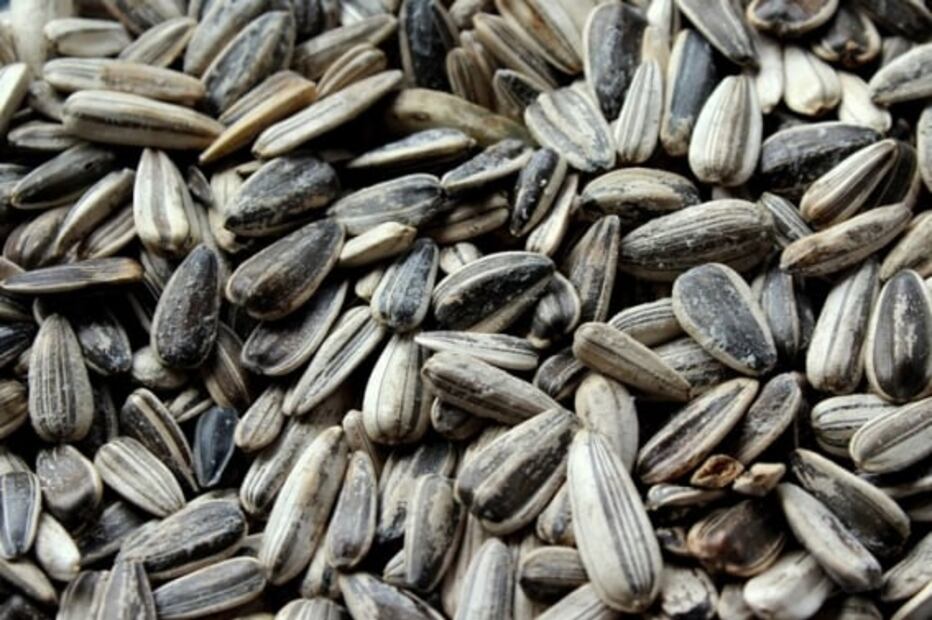 Las semillas más saludables que debes agregar a tu dieta
