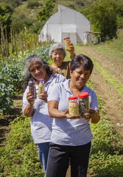 Amaranto, comer justo y saludable en Oaxaca