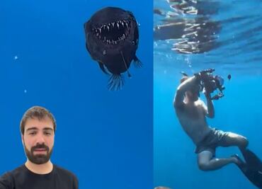 Revelan video inédito del pez diablo negro encontrado en España; buzo explica posible causa de aparición