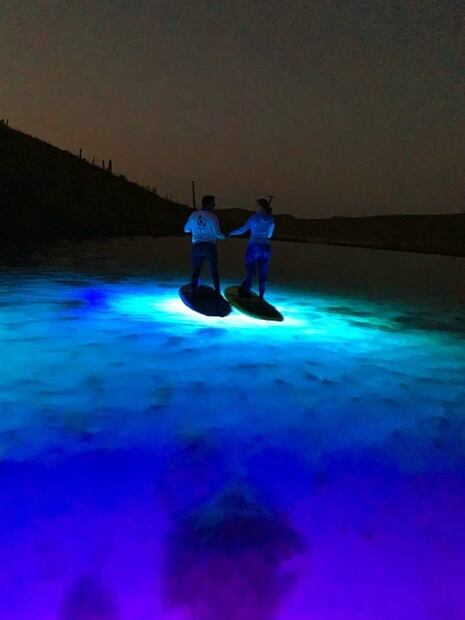 Actividades y maravillas naturales para amar La Paz, en Baja California Sur