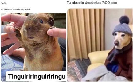 Día del Abuelo 2025: los mejores memes para hacer sonreír al rey de la casa; dedica uno este 28 de agosto