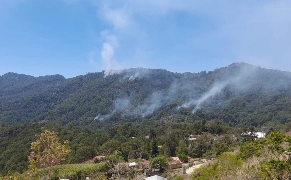 Se cumplen dos semanas del incendio en bosques de zona triqui en Oaxaca (04/04/2025). Foto: Especial