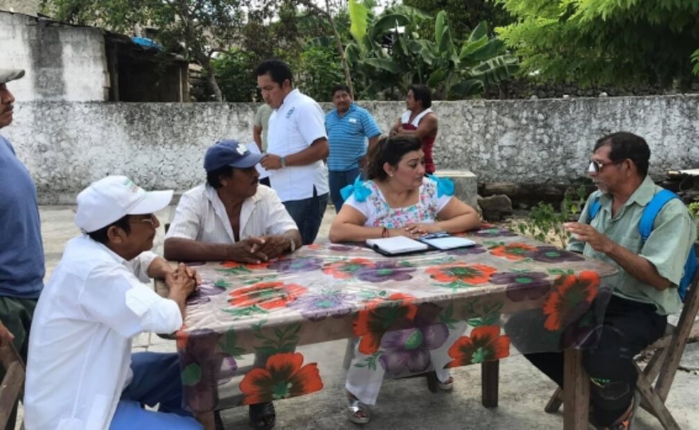 Ciudadanos exigen publicación de Ley de Bienestar Animal en Q.Roo