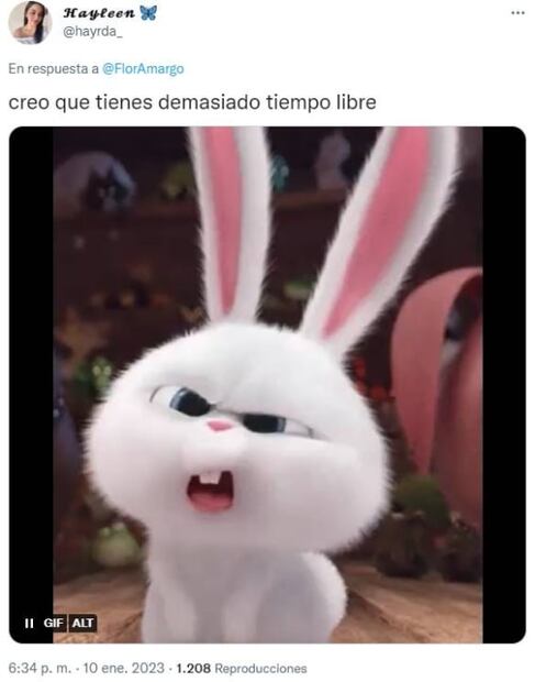 Flor Amargo desata memes por su explicación de que el cielo es "no binarie"