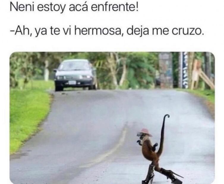 Las mejores frases para identificar a una neni 