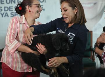 Josefina adopta un cachorro