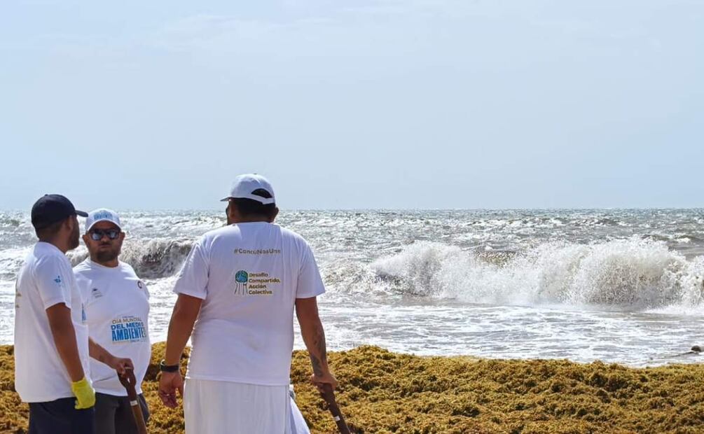 Limpieza de sargazo en playas de Quintana Roo (05/06/2025). Foto: Adriana Varillas / EL UNIVERSAL