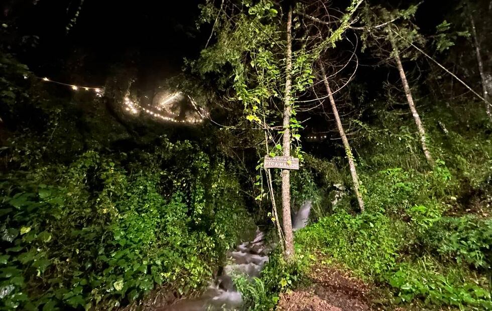 Foto: Omar Moreno. El Universal