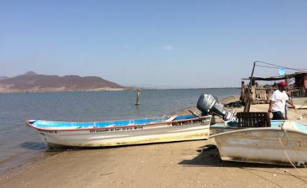 Sardineras contaminan el Mar de Cortés