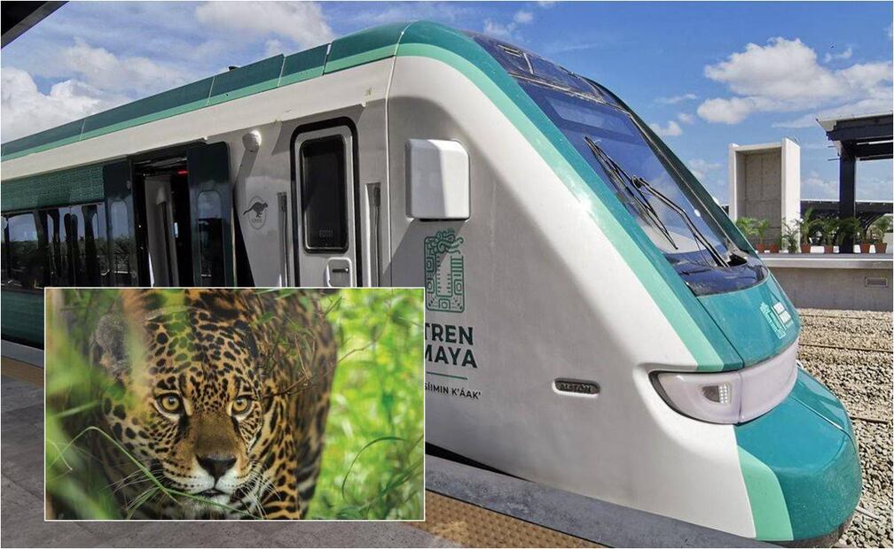Tren Maya. Foto: Especial
