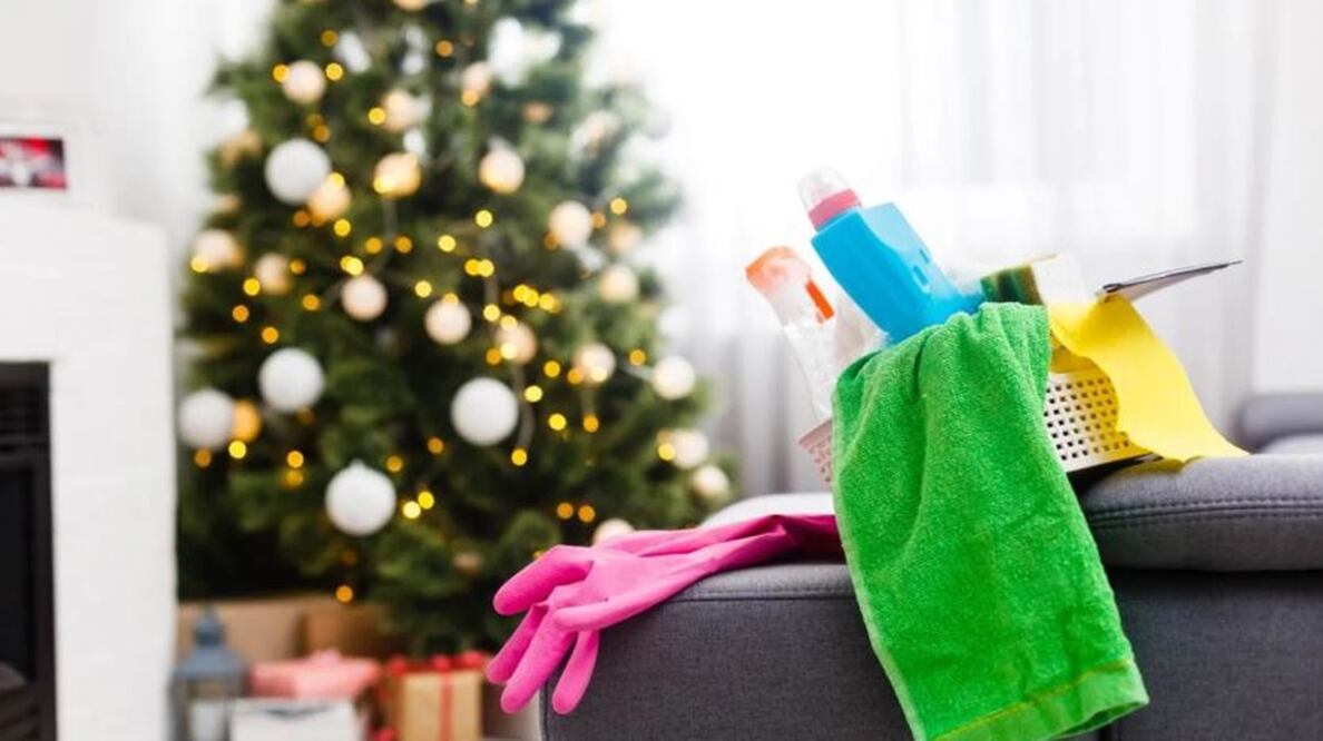 Inicia una nueva etapa llena de armonía en el ambiente. Foto: Pexels