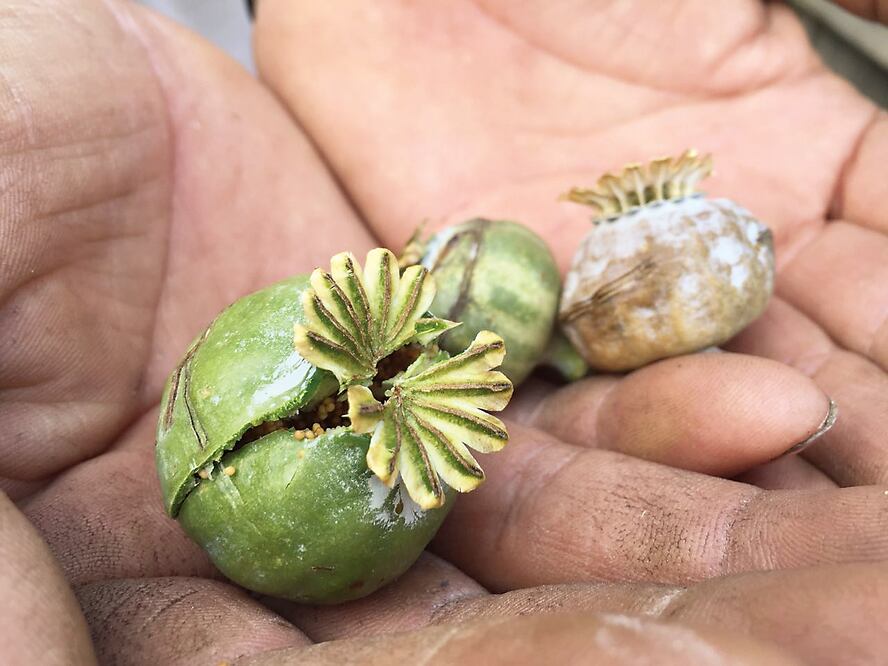 ARCHIVO / EL UNIVERSAL