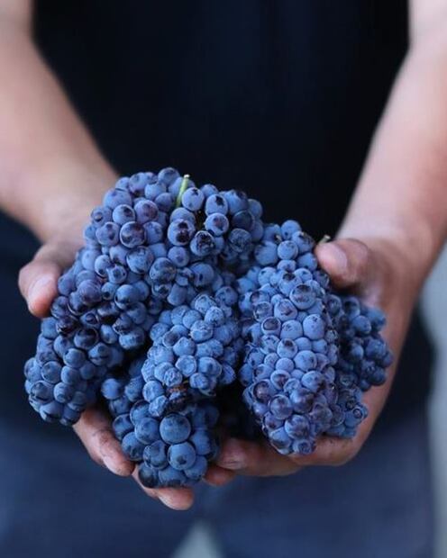 Decantos cumple su décimo aniversario