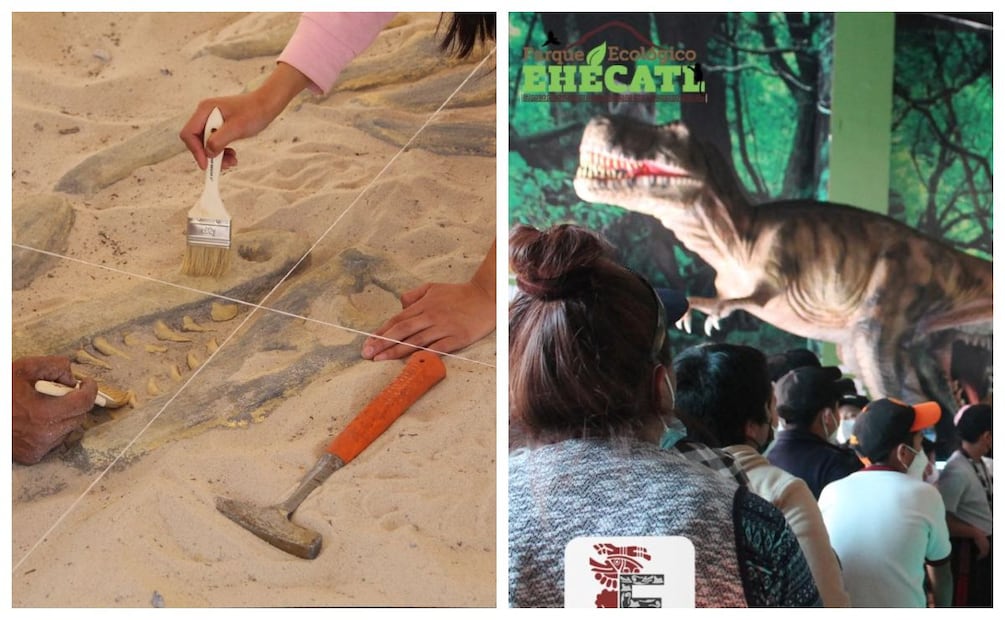 Imagen: Jurásica Parque Ehécatl