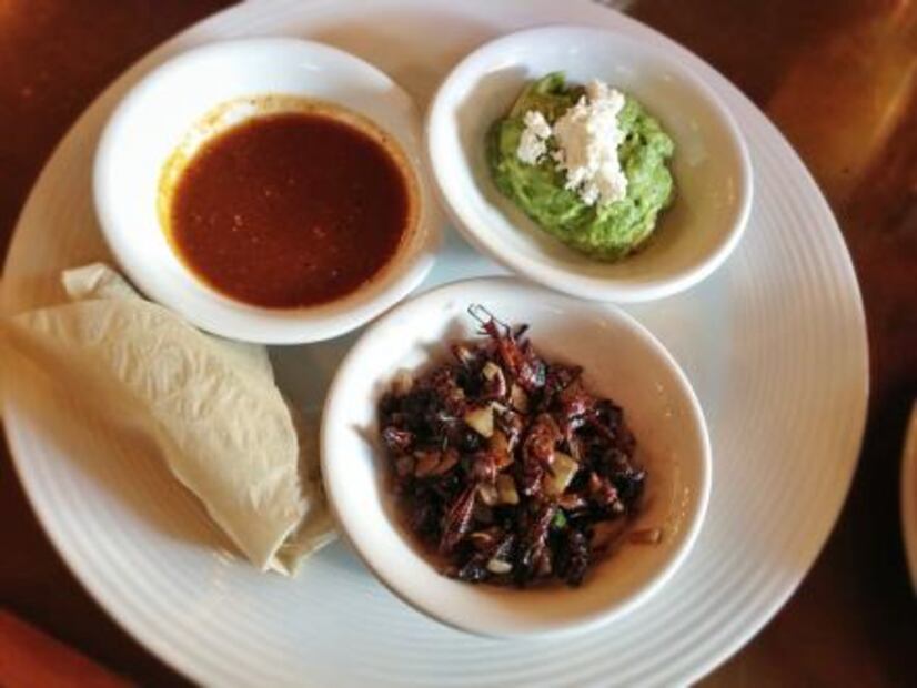 Insectos comestibles en la gastronomía mexicana