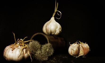 ¿Lo tiro o me lo como? Qué hacer si al ajo le sale un tallo verde