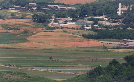ONG localiza patíbulos y fosas comunes en Corea del Norte