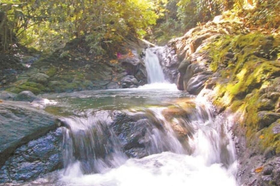 Austeridad arriesga reserva de Los Tuxtlas; cortan apoyo a ejidatarios