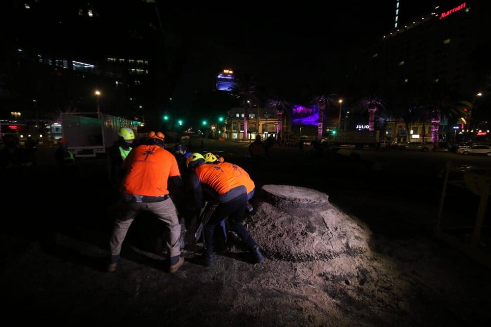 El retiró de la palma terminó alrededor de las 03:00 horas de la madrugada de este lunes. Foto: Carlos Mejía EL UNIVERSAL