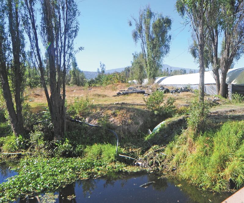 Vecinos aseguran que la zona es área natural protegida. Foto: ARCHIVO EL UNIVERSAL