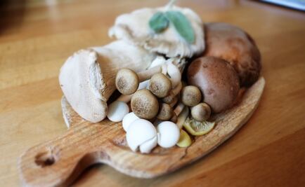 ¿Qué son y dónde conseguir adaptógenos?