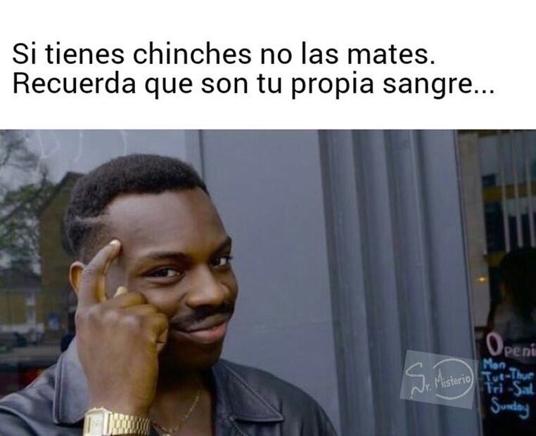 Memes de chinches en la UNAM. Foto: Redes Sociales