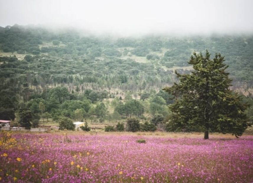 Conoce los 6 Pueblos Mágicos que hay en Querétaro
