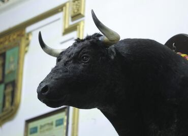 Las corridas de toros, una tradición popular e histórica acorralada