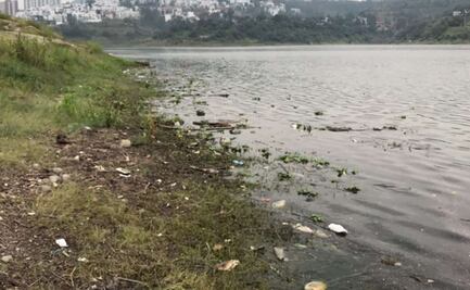 Continúa muerte de peces en presa Madín pese a cierre de relleno sanitario 