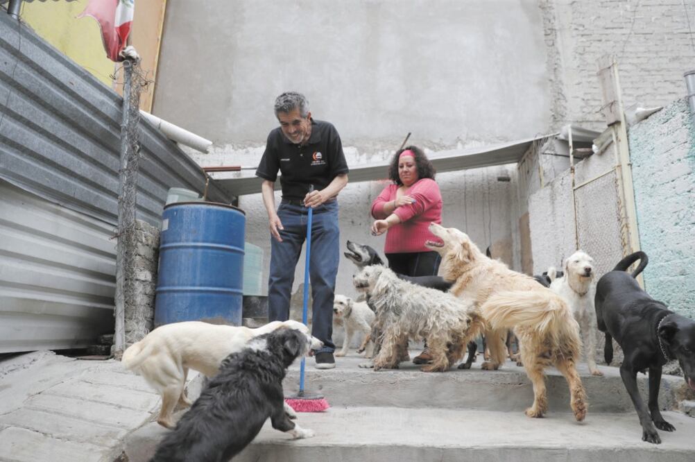 En el albergue de la asociación civil Protección del Perro Callejero en Gustavo A. Madero cuidan a 43 perros, 31 gatos y un loro. Muchos fueron abandonados y otros rescatados de situaciones de maltrato en diversas partes de la Ciudad. Fotos/ Diego Prado