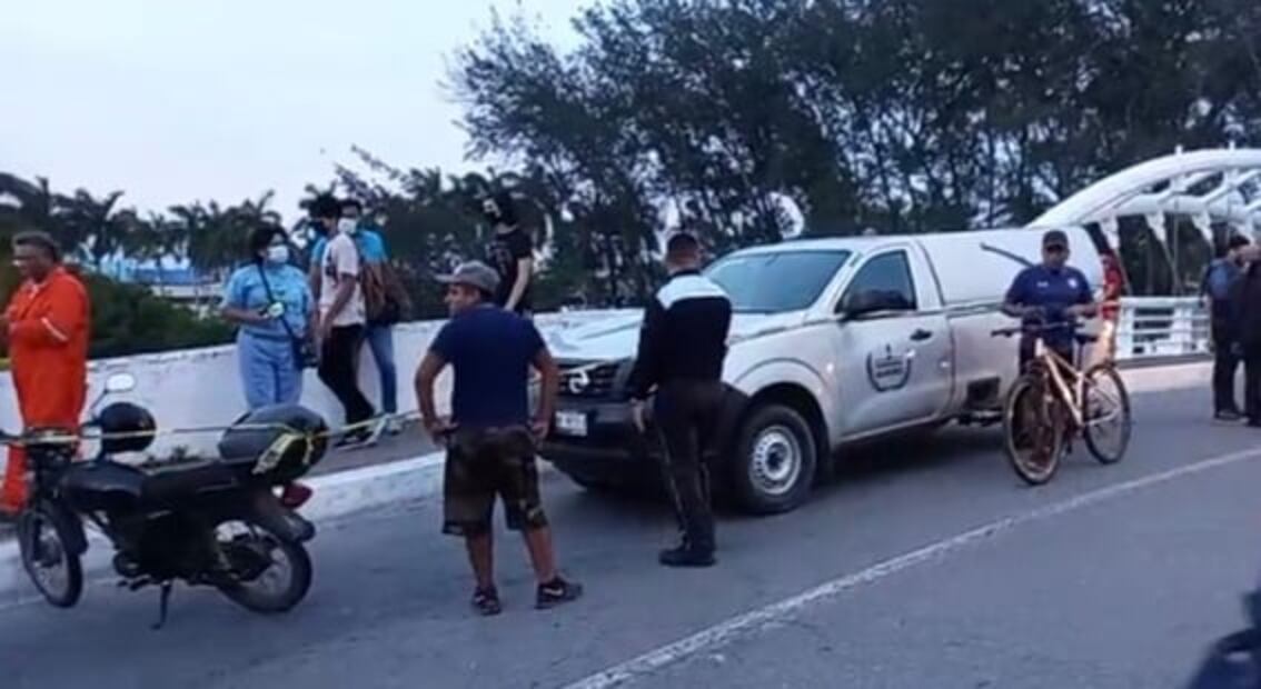 Cocodrilo mata a mujer que lavaba ropa a la orilla de un canal en Tampico, Tamaulipas